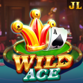 arena plus ph Wild Ace slot